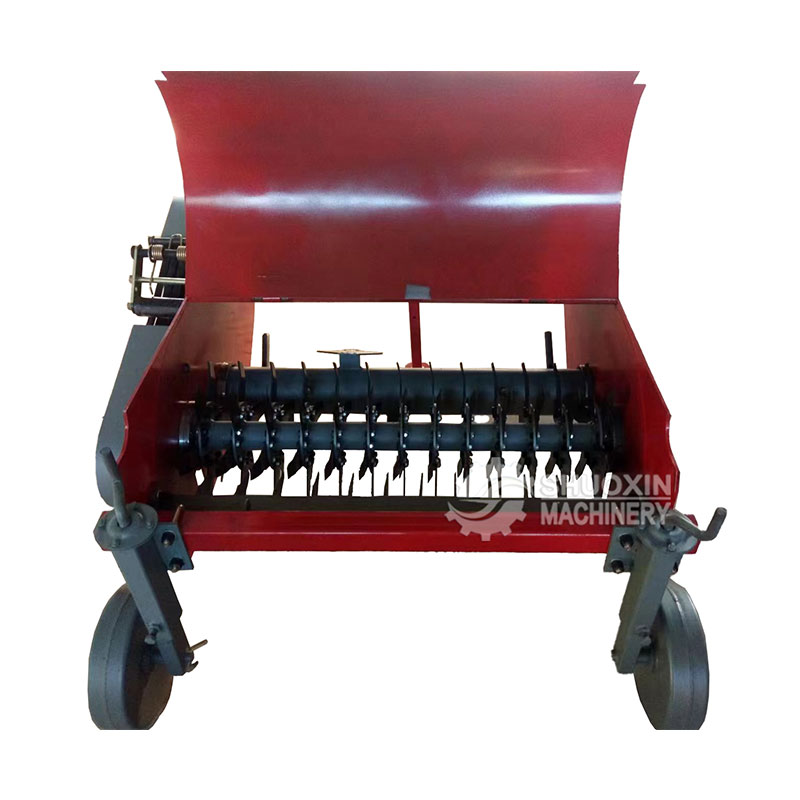 قضبان طب البطاطا القاتل شتلات اليام